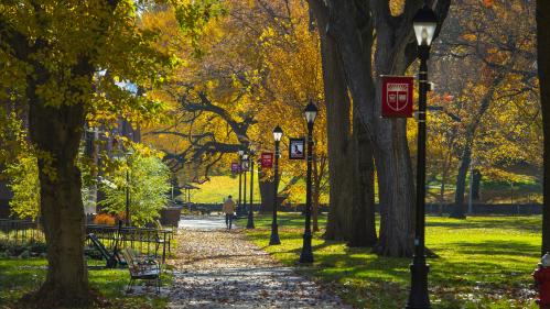 Campus sidewalk with leaves