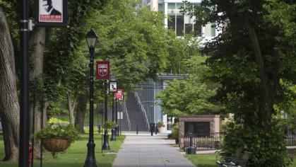 A concrete path lined with trees