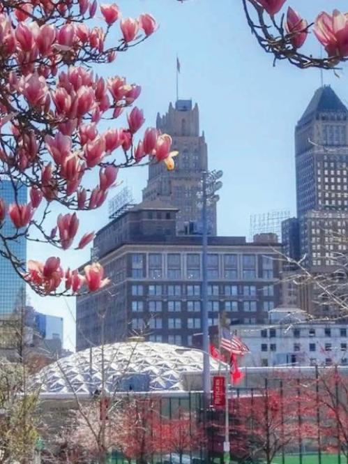 Rutgers–Newark Golden Dome Athletic Center and city skyline