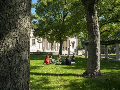 Five students sitting in a circle by two trees.