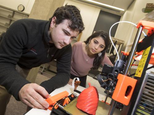 Two students at work in a lab setting